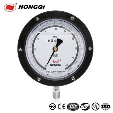 カスタム高精度圧力計