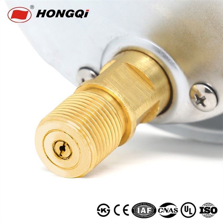 After The Flange Axial Shockproof Pressure Gauge