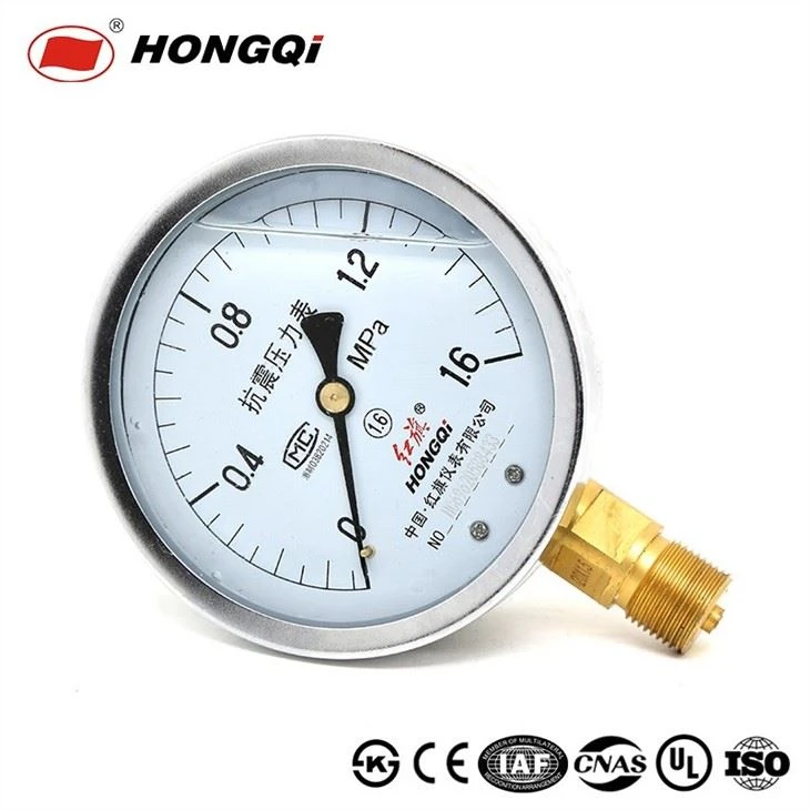 Stainless Steel Case Shockproof Pressure Gauge